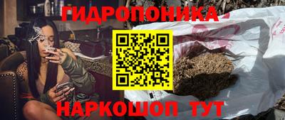 стафф Заводоуковск