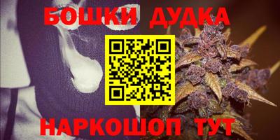 стафф Заводоуковск