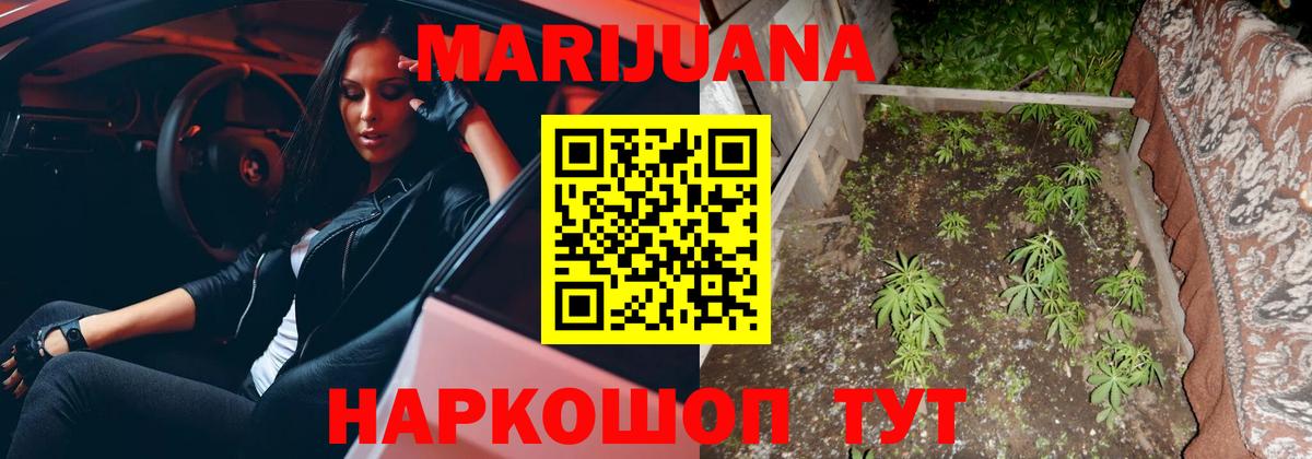 Каннабис сатива Аксай